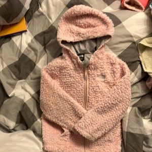 The north face fall jacket